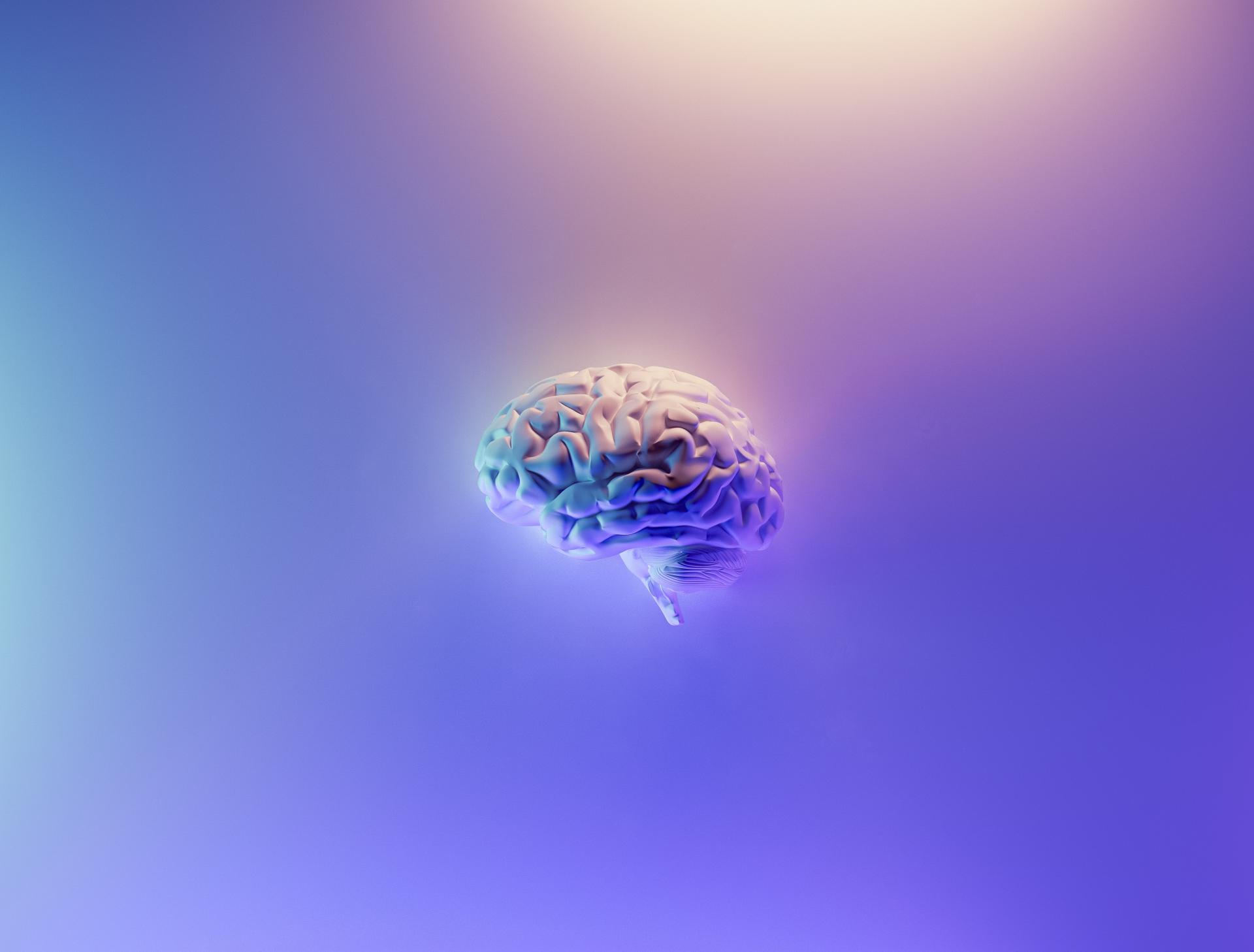20. Cerebral cortex = microcurrent (signal modulation)